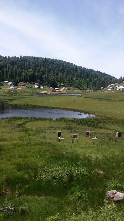 Hendek Göksu Köyü Resimleri 2