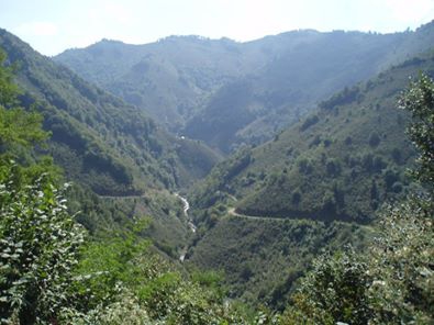 Çamaş Saitler Köyü Resimleri 1