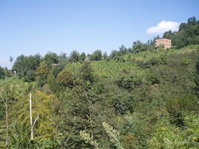 Çamaş Saitler Köyü Resimleri 3