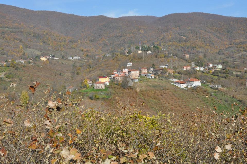 Hendek Güldibi Köyü Resimleri 3