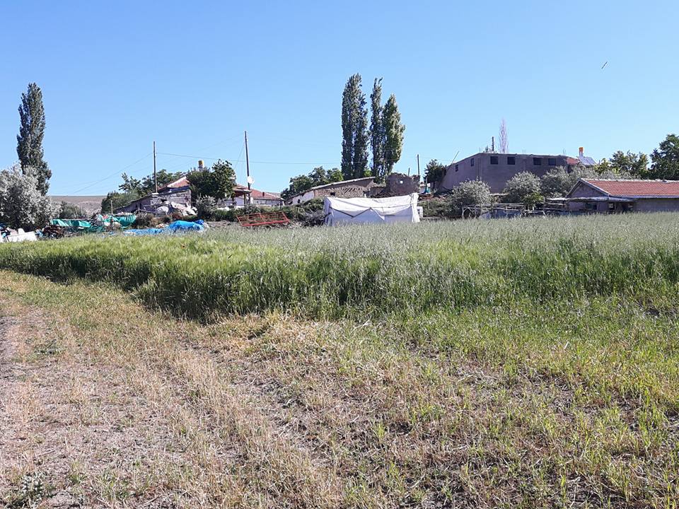 Ulukışla  Hacıbekirli Köyü Resimleri 14