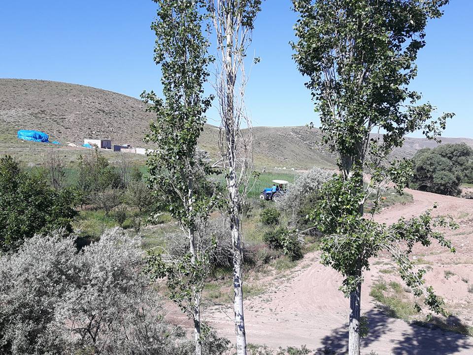 Ulukışla  Hacıbekirli Köyü Resimleri 16