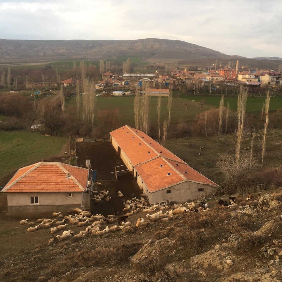 Ulukışla  Hacıbekirli Köyü Resimleri 4