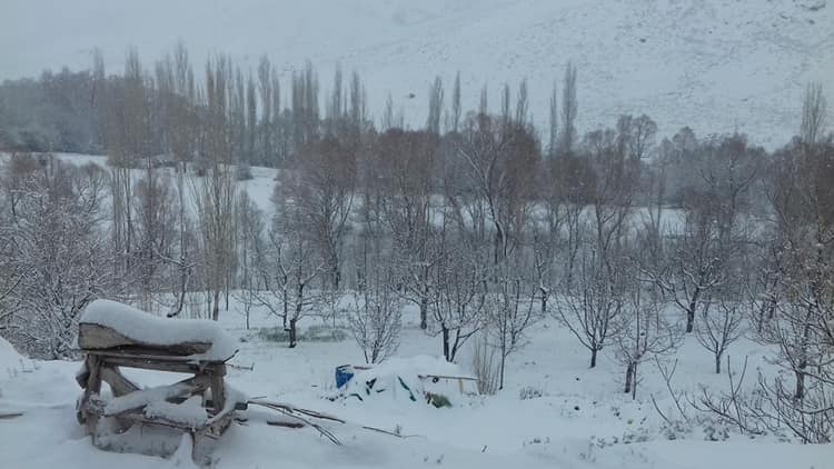 Ulukışla  Hacıbekirli Köyü Resimleri 8