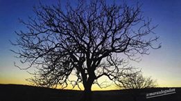 Pazarcık Akçalar Köyü Resimleri 3