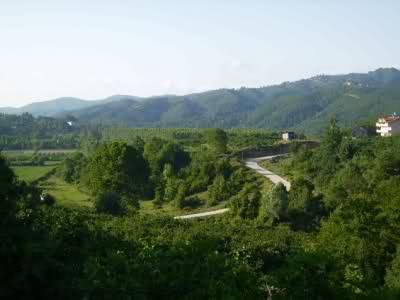 Hendek Güney Köyü Resimleri 1