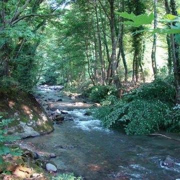 Hendek Güney Köyü Resimleri 2