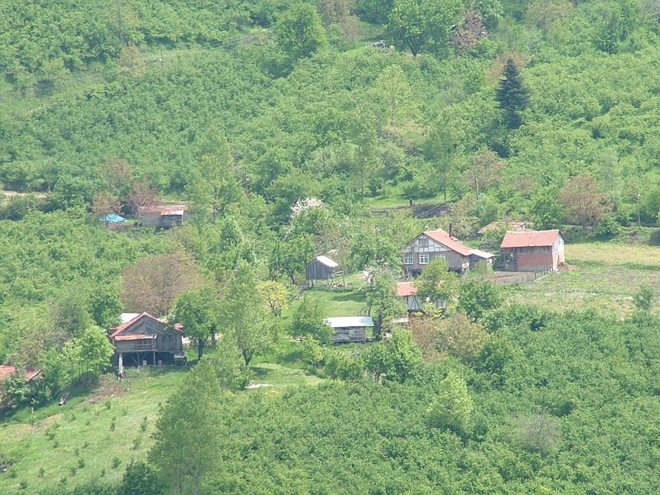 Hendek Güney Köyü Resimleri 4