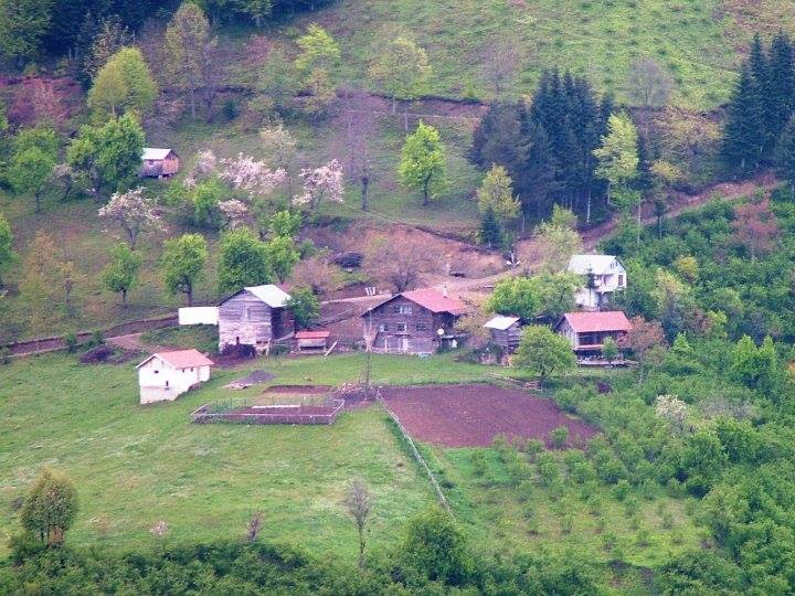 Hendek Güney Köyü Resimleri 6