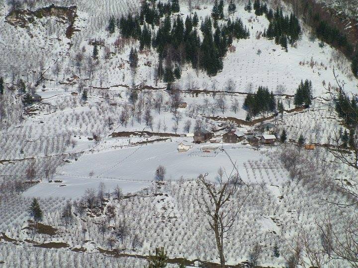 Hendek Güney Köyü Resimleri 7