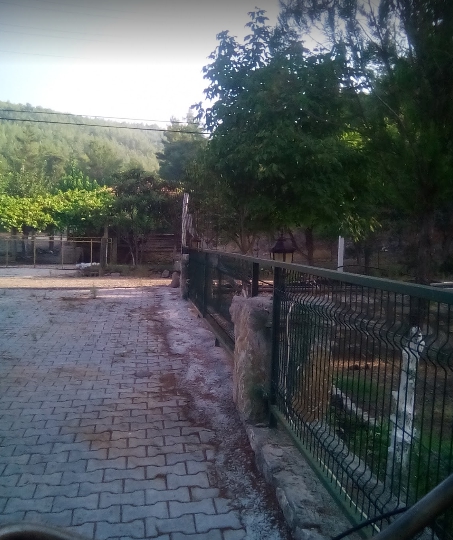 Köyceğiz Balcılar Köyü Resimleri 2