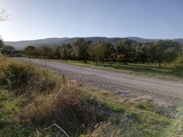 Sakarya Kemaliye Köyü Resimleri 2