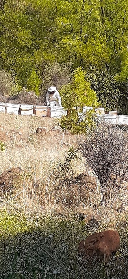 Köyceğiz Döğüşbelen Köyü Resimleri 1