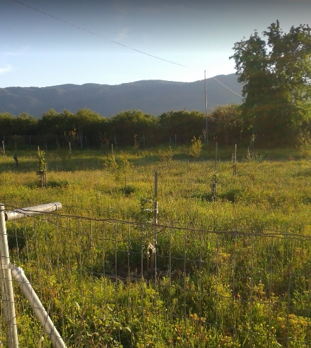 Köyceğiz Döğüşbelen Köyü Resimleri 10