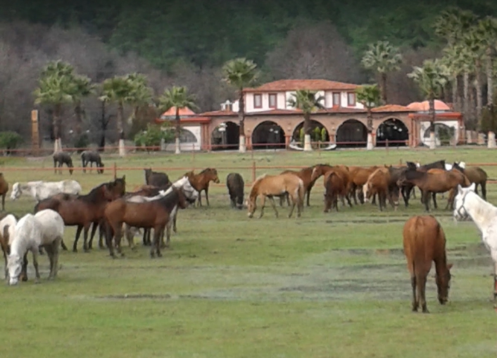 Köyceğiz Döğüşbelen Köyü Resimleri 6