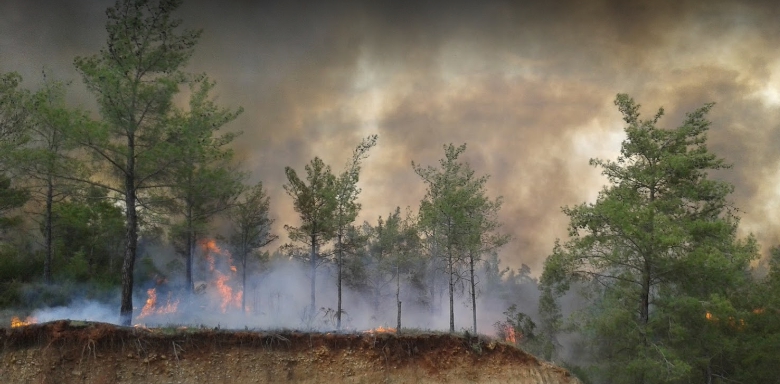 Köyceğiz Döğüşbelen Köyü Resimleri 9