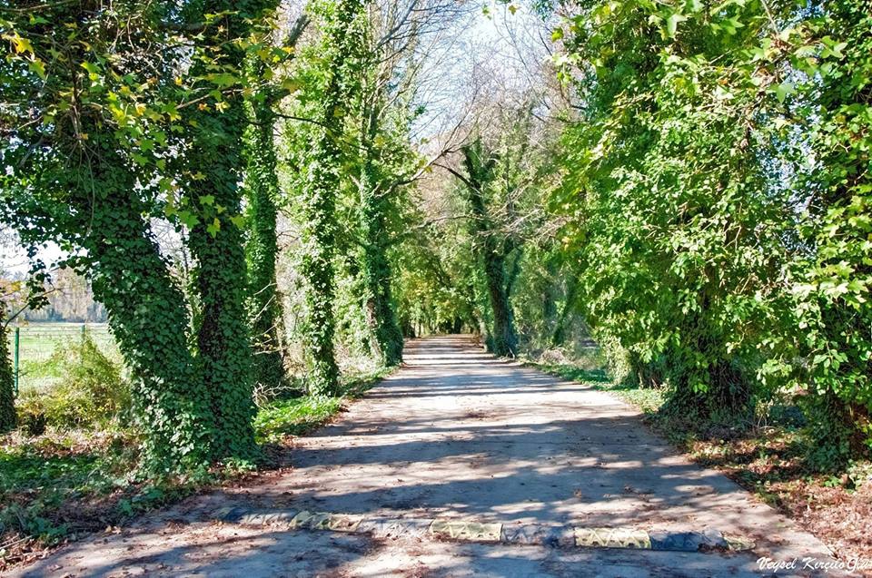 Köyceğiz Kavakarası Köyü Resimleri 1