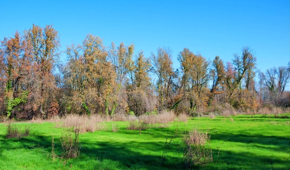 Köyceğiz Kavakarası Köyü Resimleri 2
