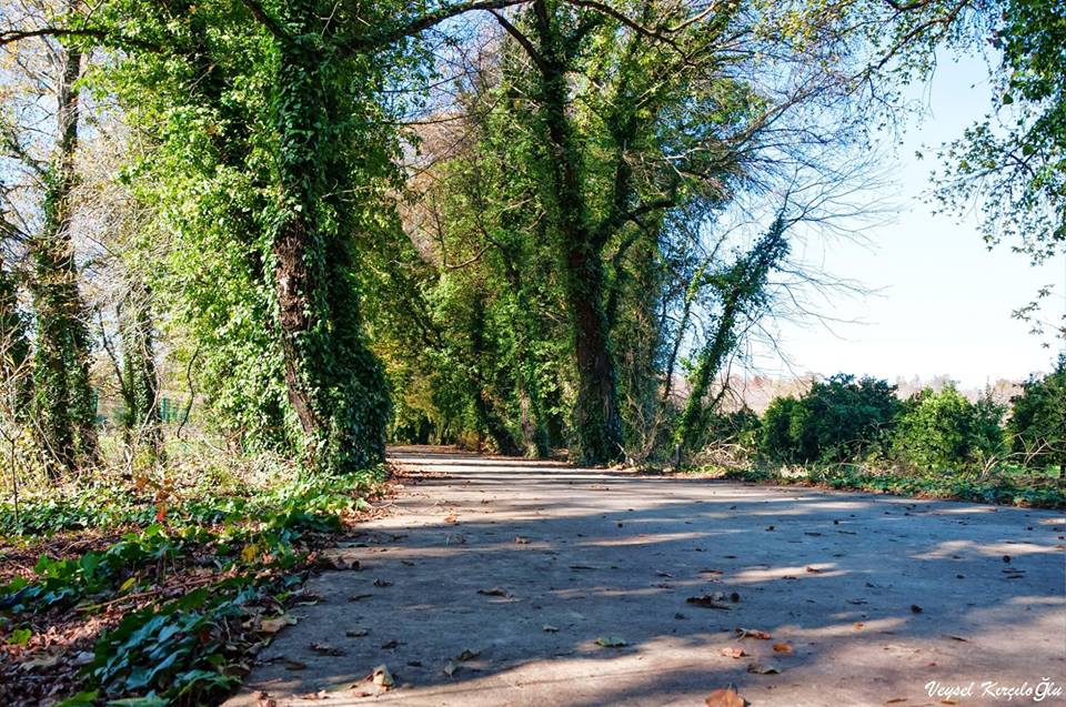 Köyceğiz Kavakarası Köyü Resimleri 4