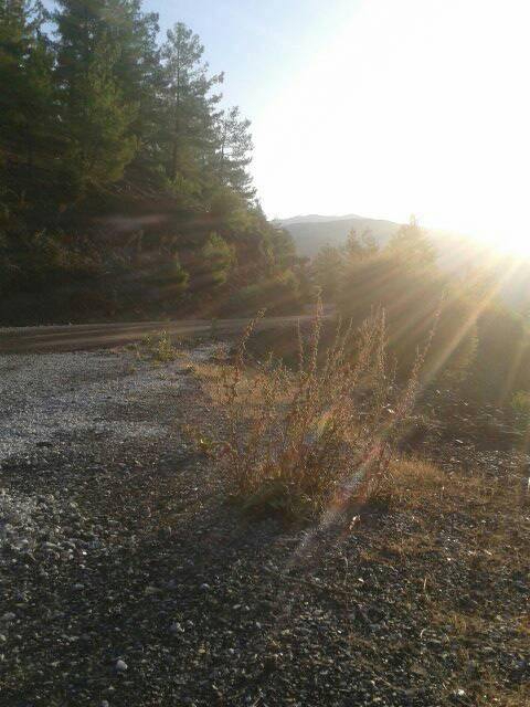 Köyceğiz Otmanlar Köyü Resimleri 3