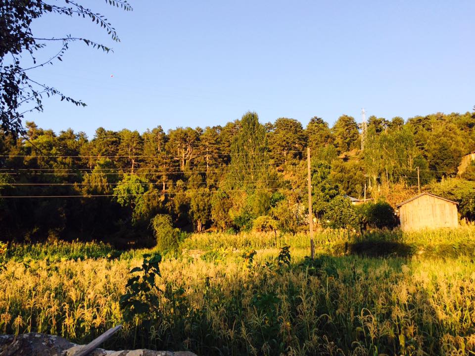 Köyceğiz Otmanlar Köyü Resimleri 4