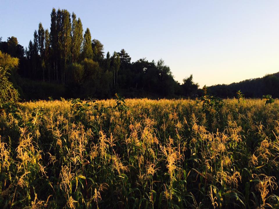 Köyceğiz Otmanlar Köyü Resimleri 5