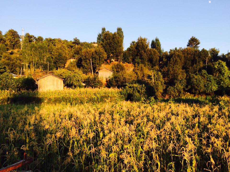 Köyceğiz Otmanlar Köyü Resimleri 6