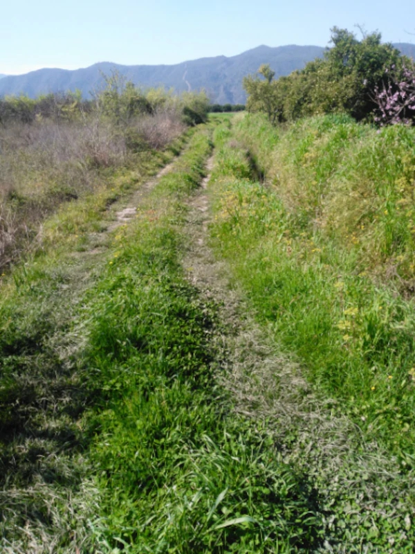 Köyceğiz Zaferler Köyü Resimleri 1