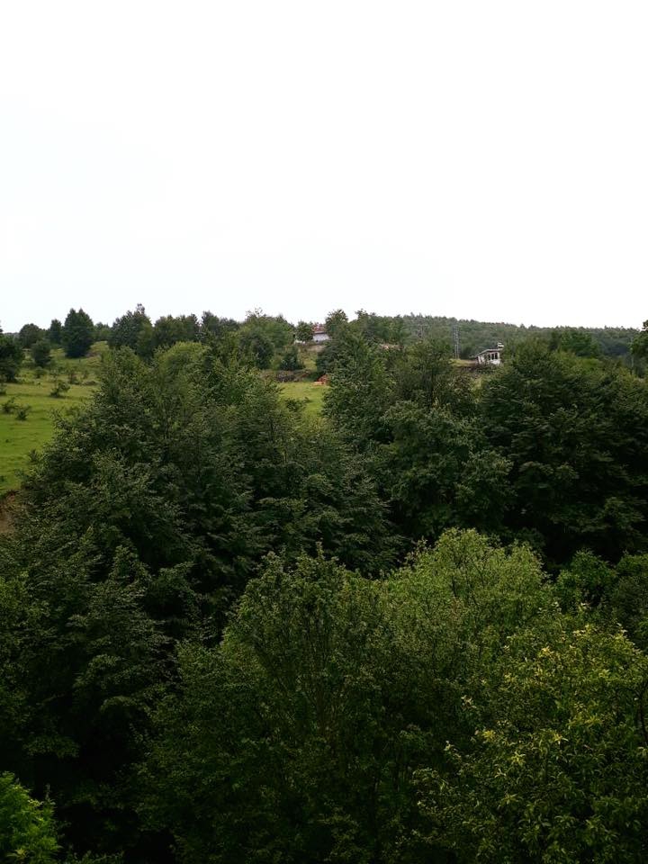 Köyceğiz Sazak Köyü Resimleri 1