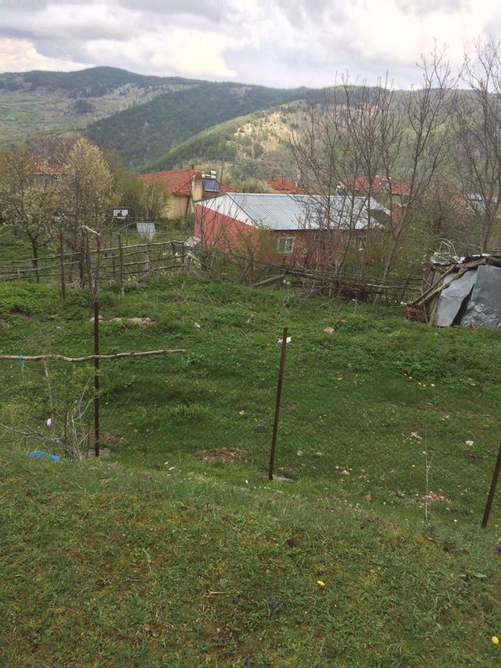 Köyceğiz Sazak Köyü Resimleri 10