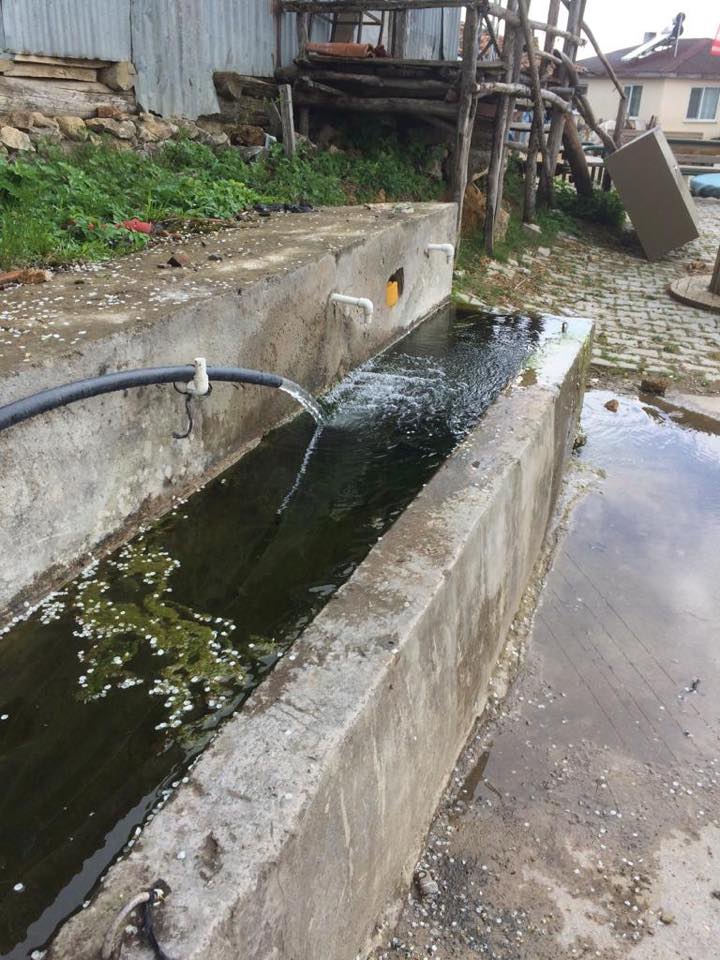 Köyceğiz Sazak Köyü Resimleri 11