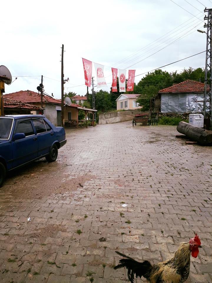 Köyceğiz Sazak Köyü Resimleri 2