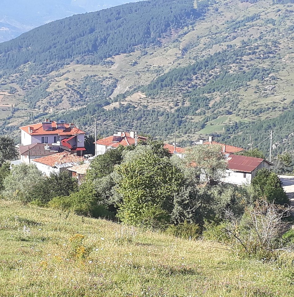 Köyceğiz Sazak Köyü Resimleri 3