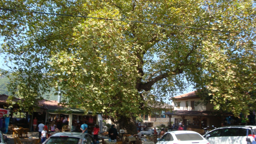 Marmaris Osmaniye Köyü Resimleri 5