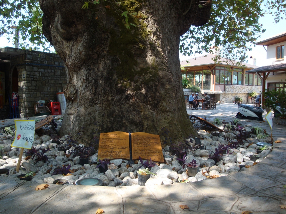 Marmaris Osmaniye Köyü Resimleri 7