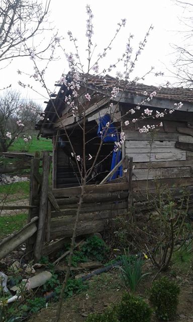 Hendek Hacimbey Köyü Resimleri 1