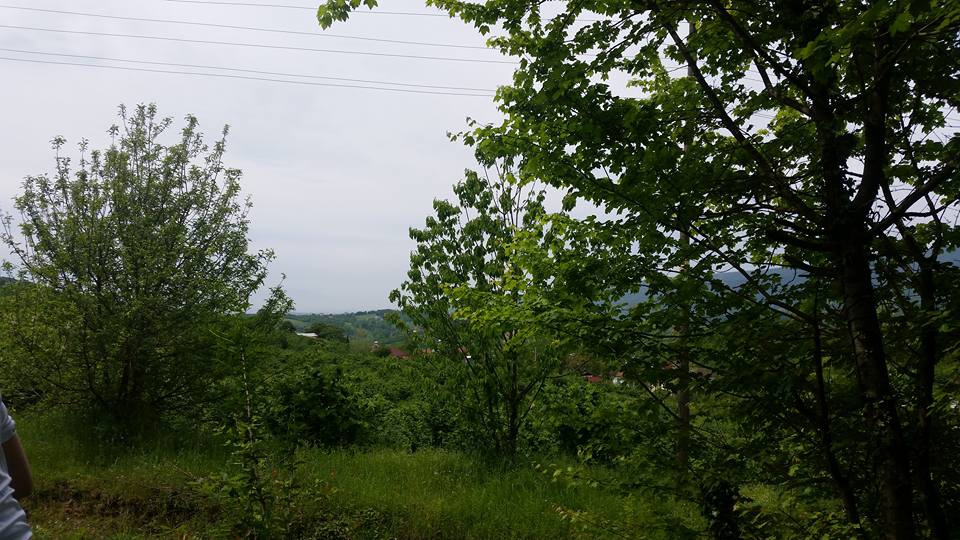 Hendek Hacimbey Köyü Resimleri 4