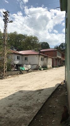 Havza Kayacık Köyü Resimleri 5