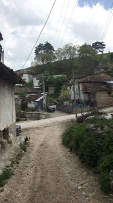 Havza Kayacık Köyü Resimleri 8