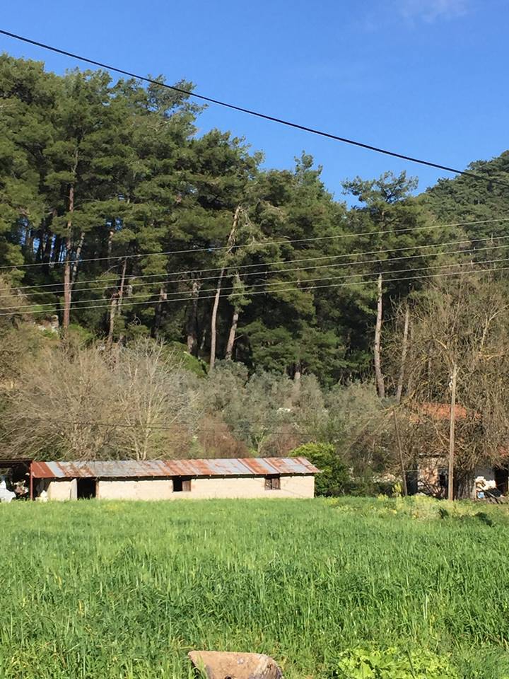 Marmaris Yeşilbelde Köyü Resimleri 1