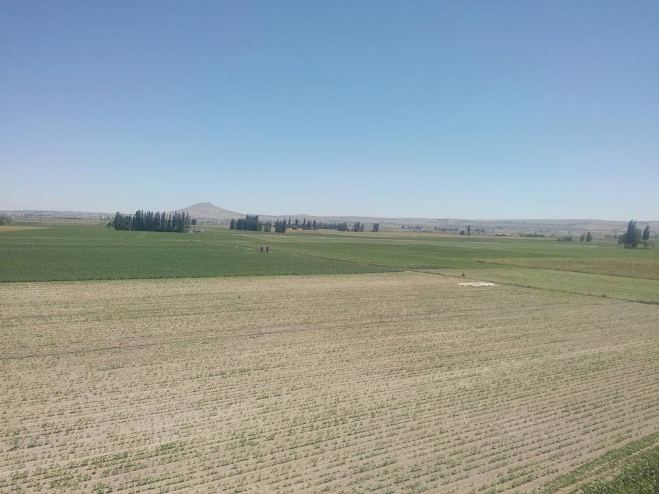 Niğde Ağcaşar Köyü Resimleri 6