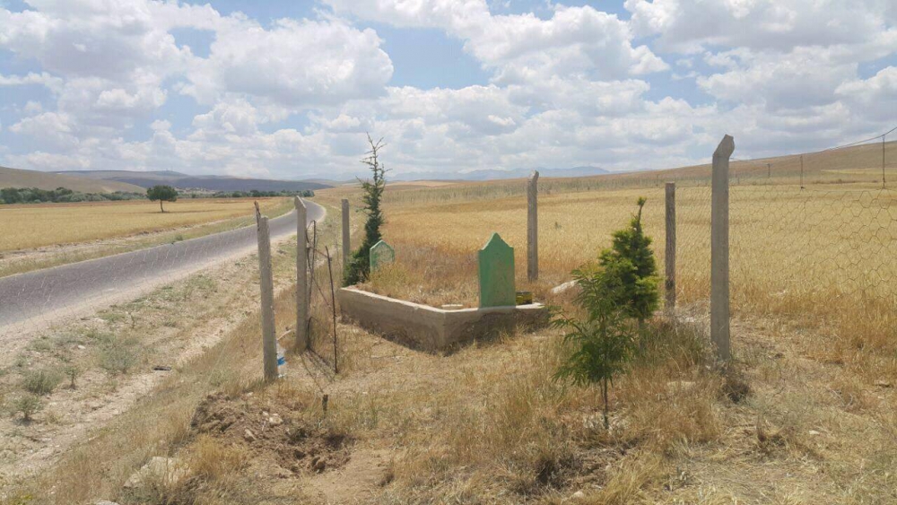 Ulukışla  Şeyhömerli Köyü Resimleri 3