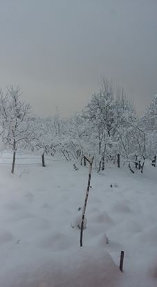 Hendek Harmantepe Köyü Resimleri 2