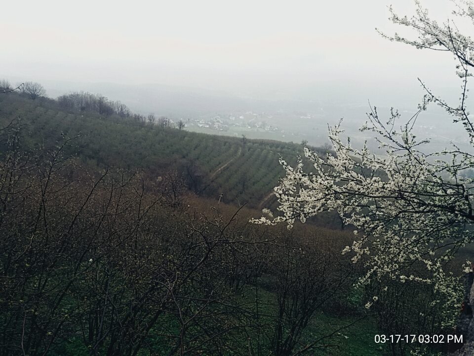 Hendek Harmantepe Köyü Resimleri 7