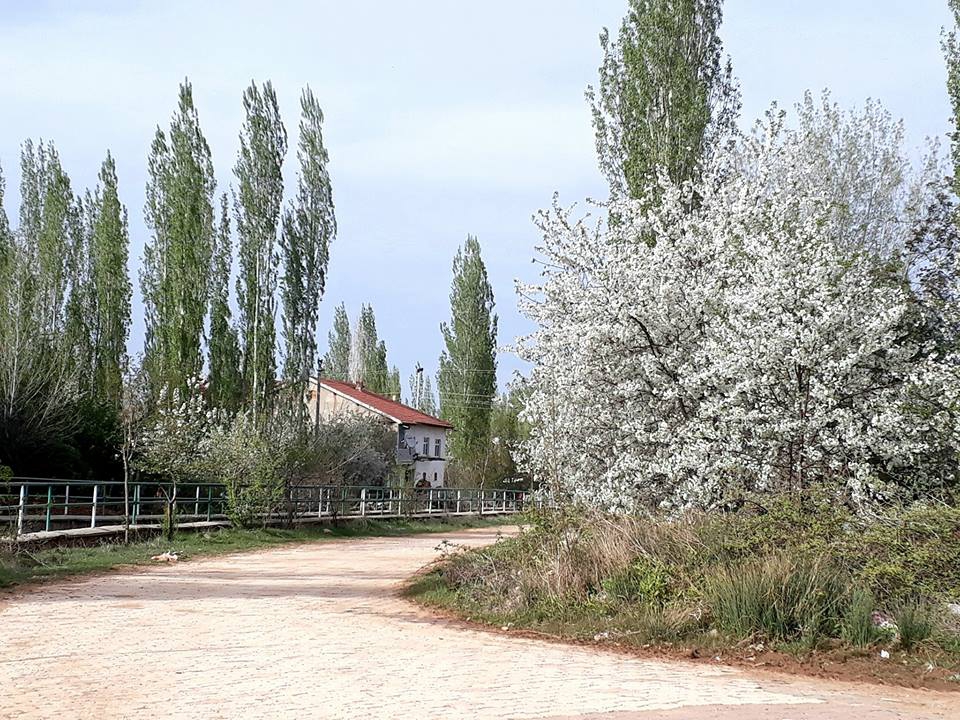 Doğanhisar Çınaroba Köyü Resimleri 10