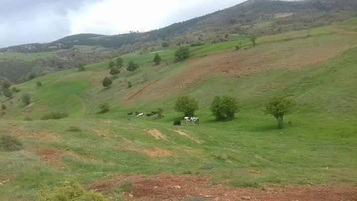 Doğanhisar Kemer Köyü Resimleri 6