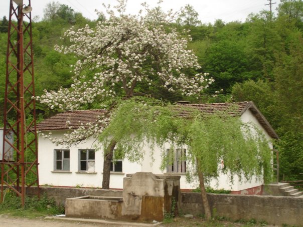 Hendek Hicriye Köyü Resimleri 3
