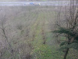 Hendek İkbaliye Köyü Resimleri 2