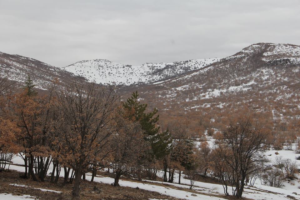 Emirgazi Karaören Köyü Resimleri 1