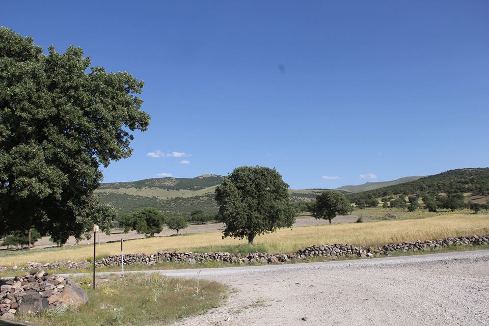 Emirgazi Karaören Köyü Resimleri 9